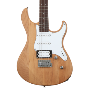 Professional Pacific-Style Electric Guitar