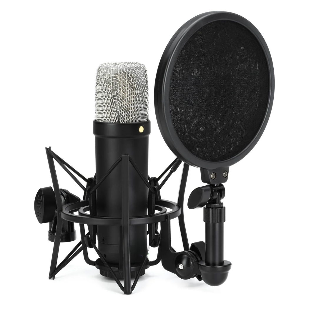 Fifth-Generation Studio Condenser Microphone